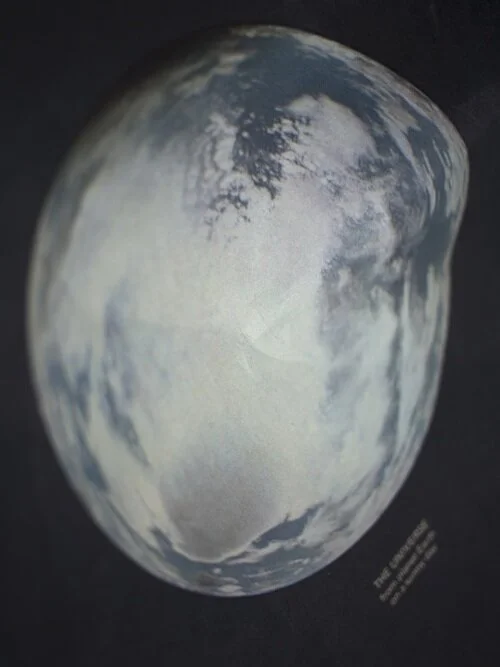 Karen Lee Williams: Remote Sensing