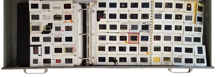 Ofri Cnaani: File Under: ? 