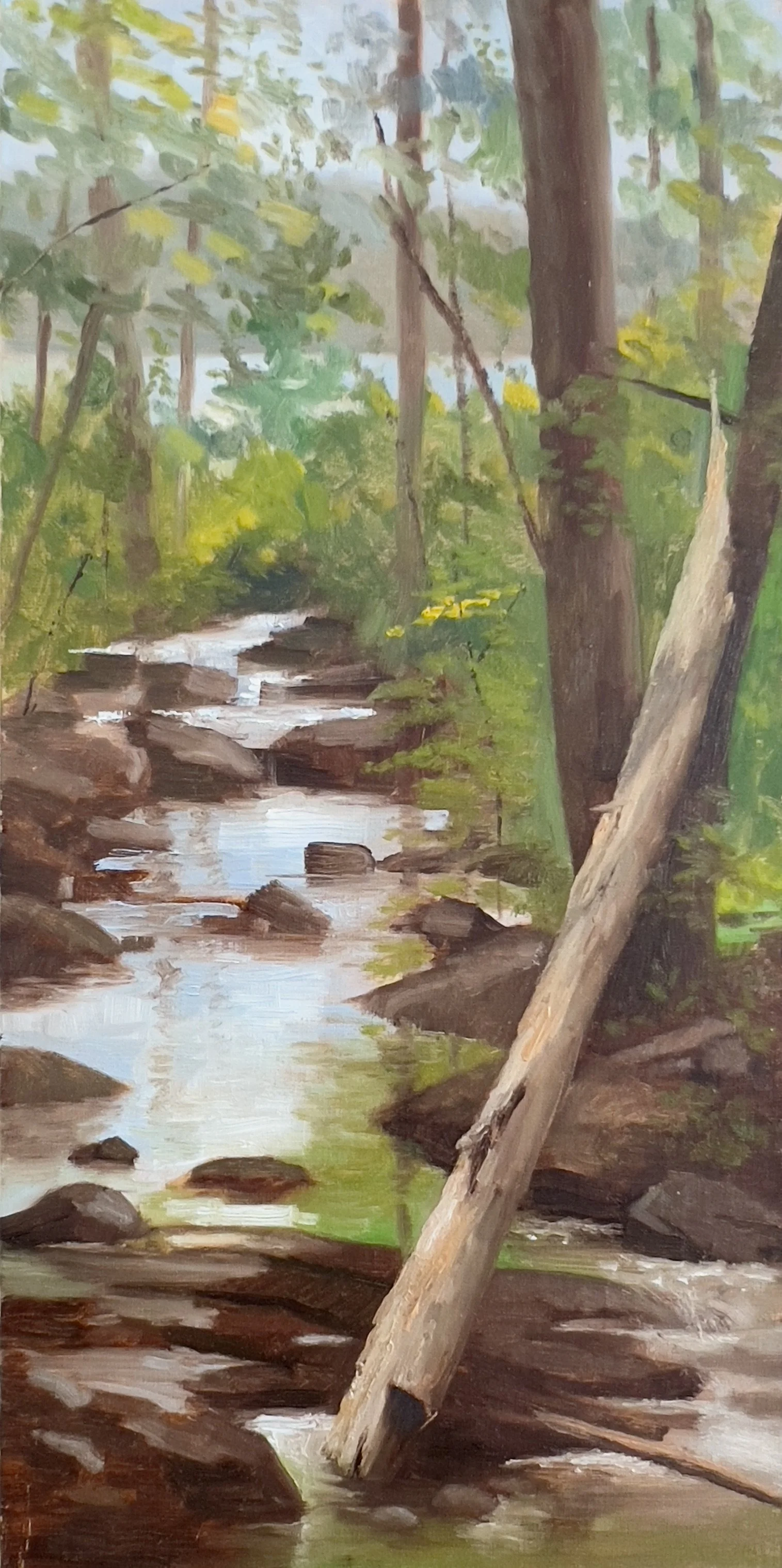 Robin Kappy, "Teatown Woods Plein Air"