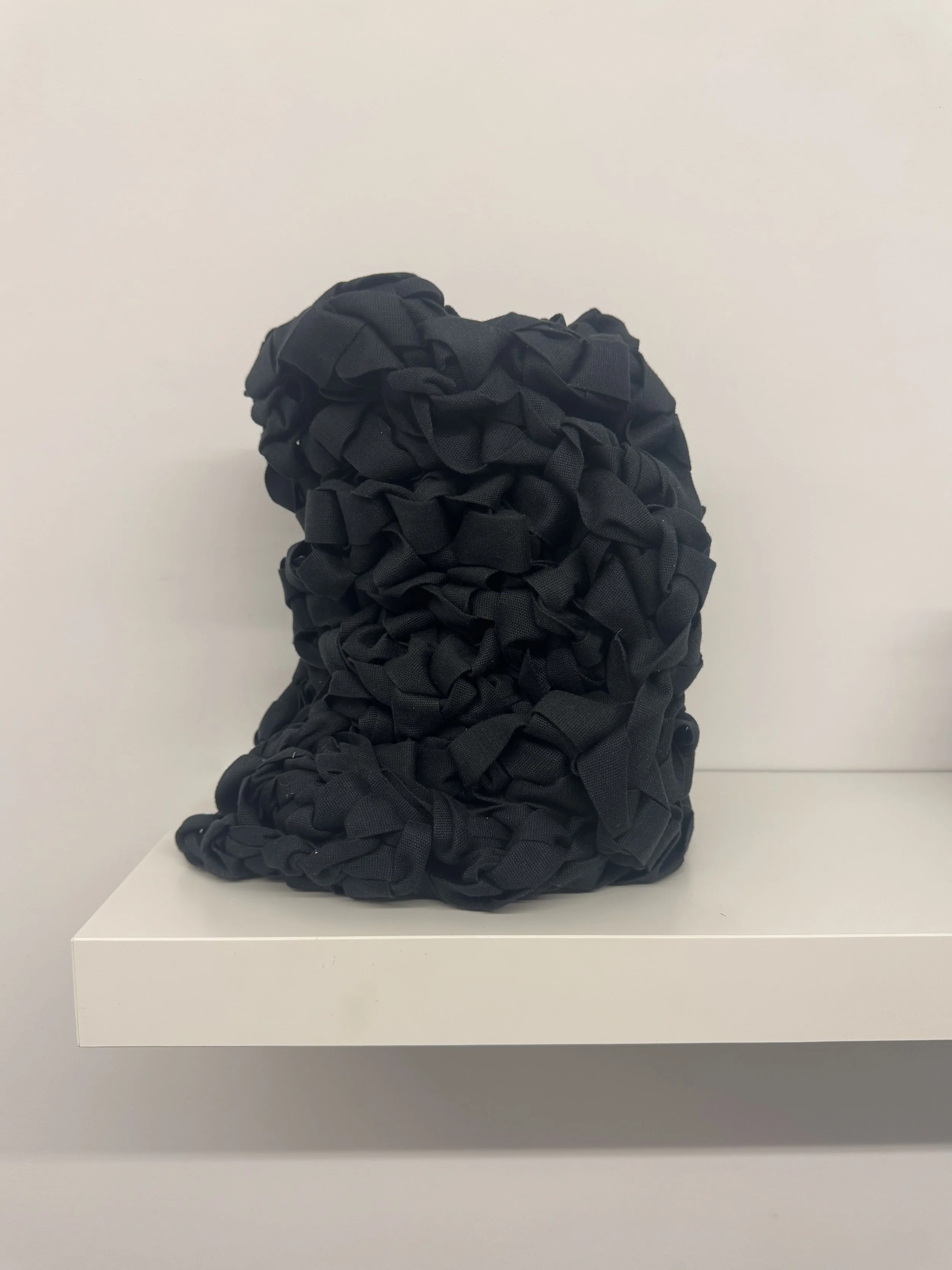 Dianne Smith, "Woven Il"