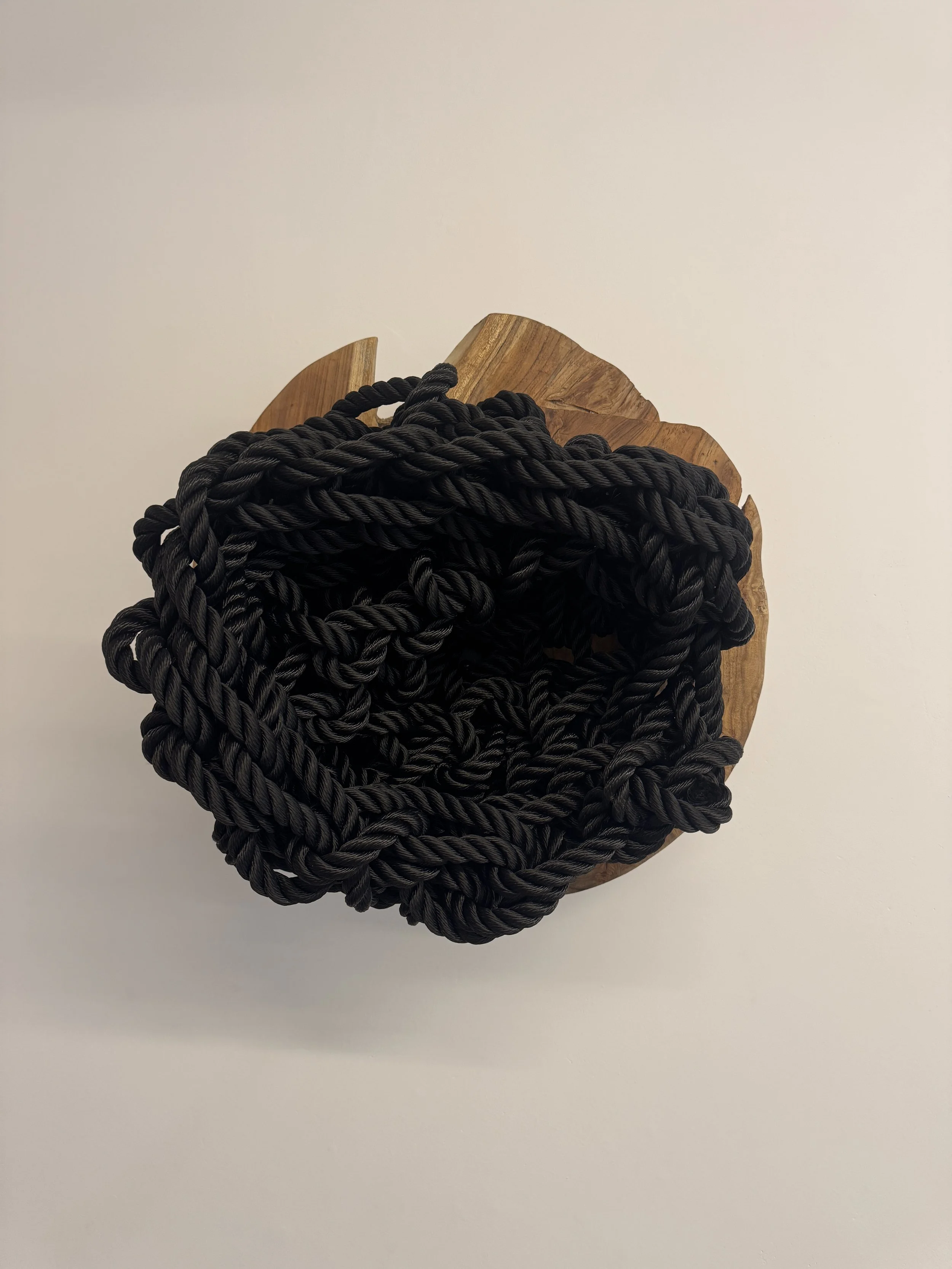 Dianne Smith, "Crown"