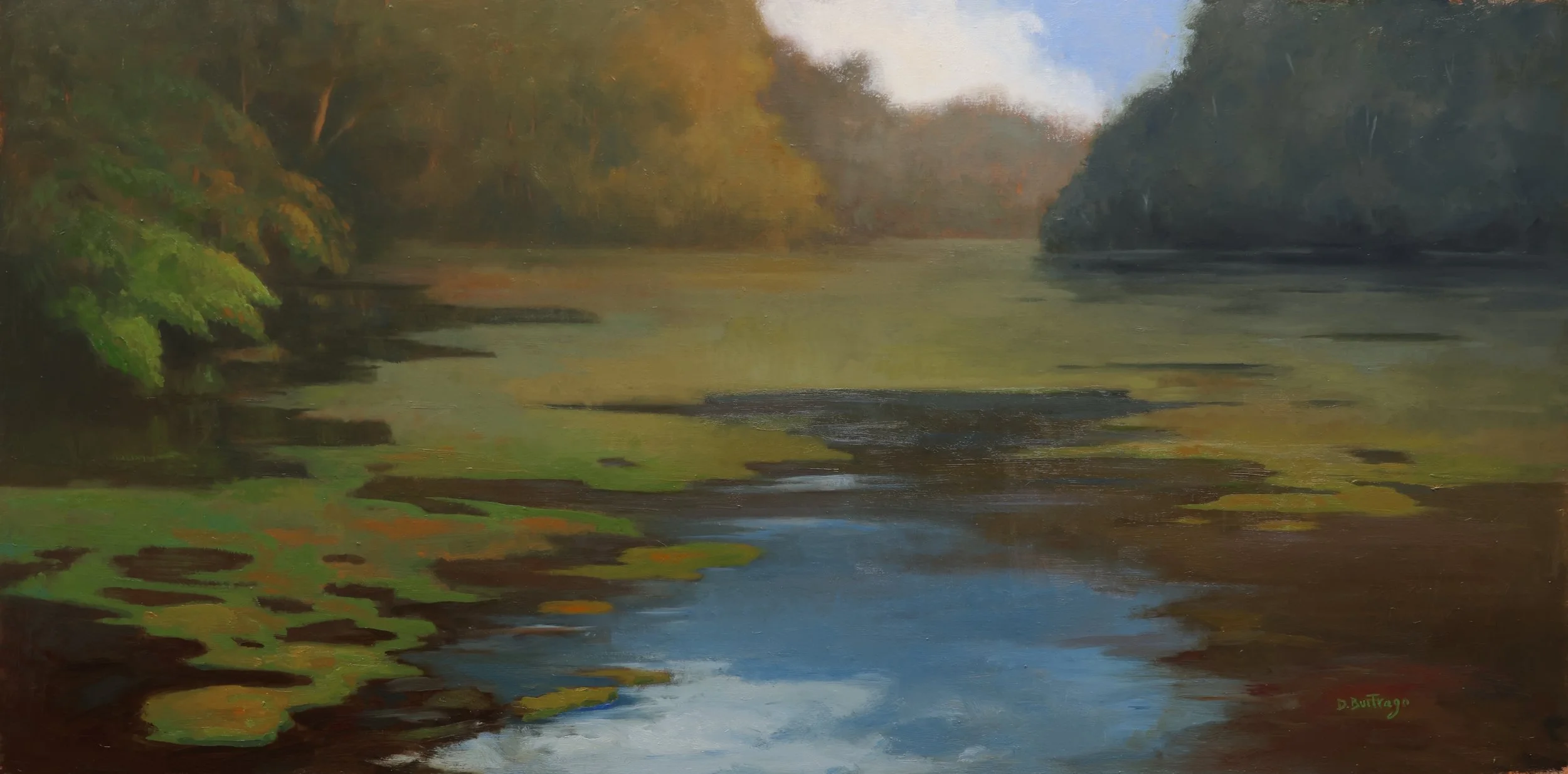 Diana Buitrago, "Reflections (Teatown Lake Reservoir)"