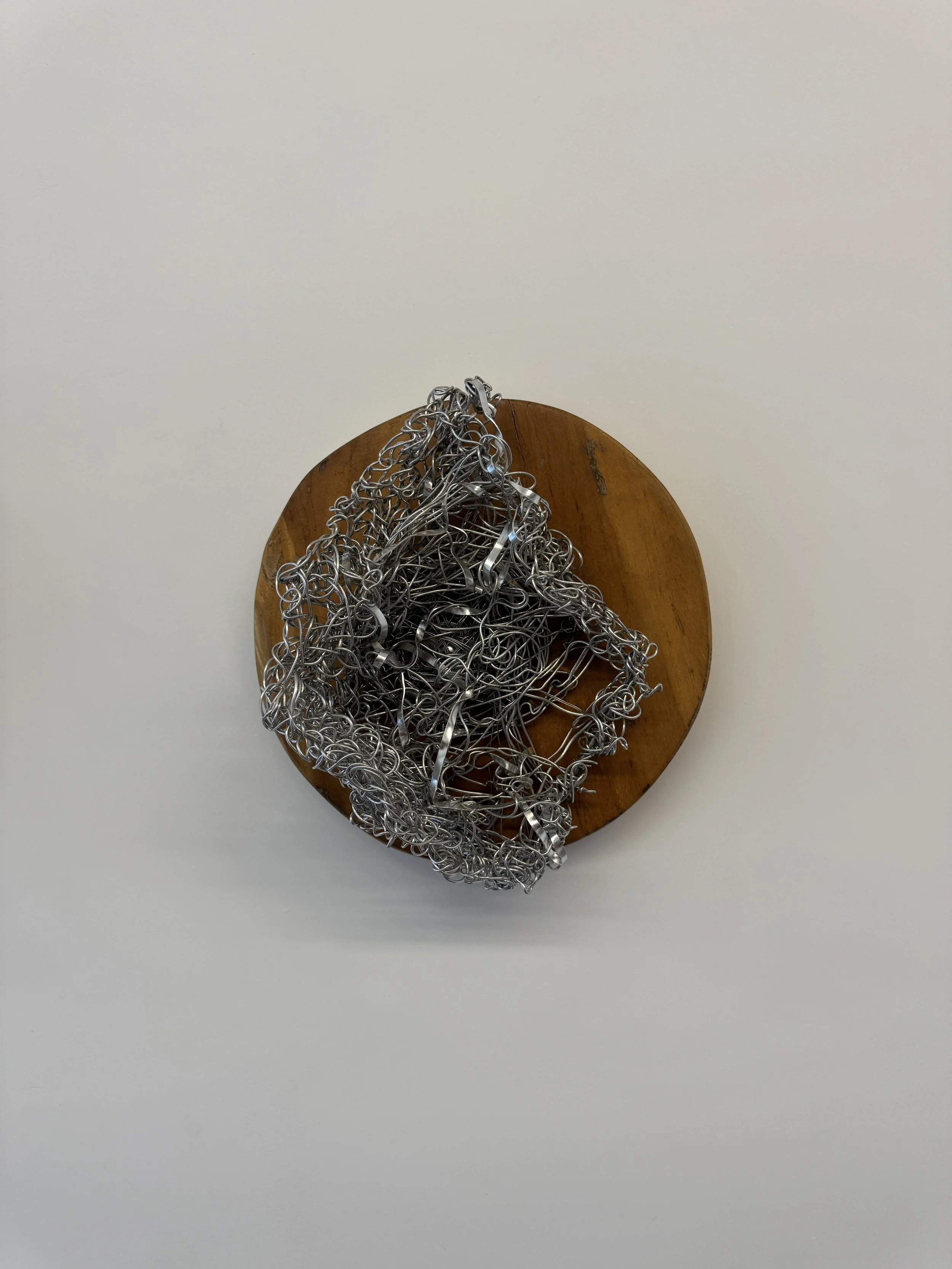 Dianne Smith, "Node 5, Echoes of the Path"