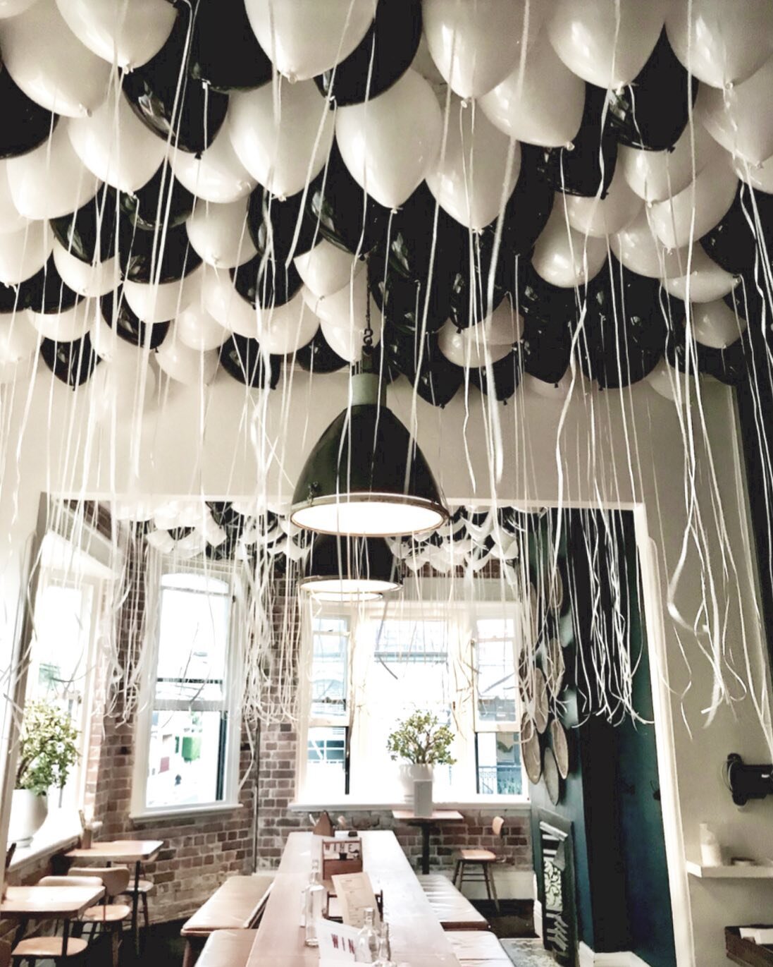 Birthday balloons for a lovely long luncheon at @thelondonpaddo 🖤🤍 #houseofballoons_au #birthdayballoons #paddoinn 

*⁠⠀
*⁠⠀
*⁠⠀
*⁠⠀
*⁠⠀
*⁠⠀
#sydneyballoons #birthdayparty #visitpaddington #birthdaygirl #birthdayboy #sydneyballoondecorator #sydneyp