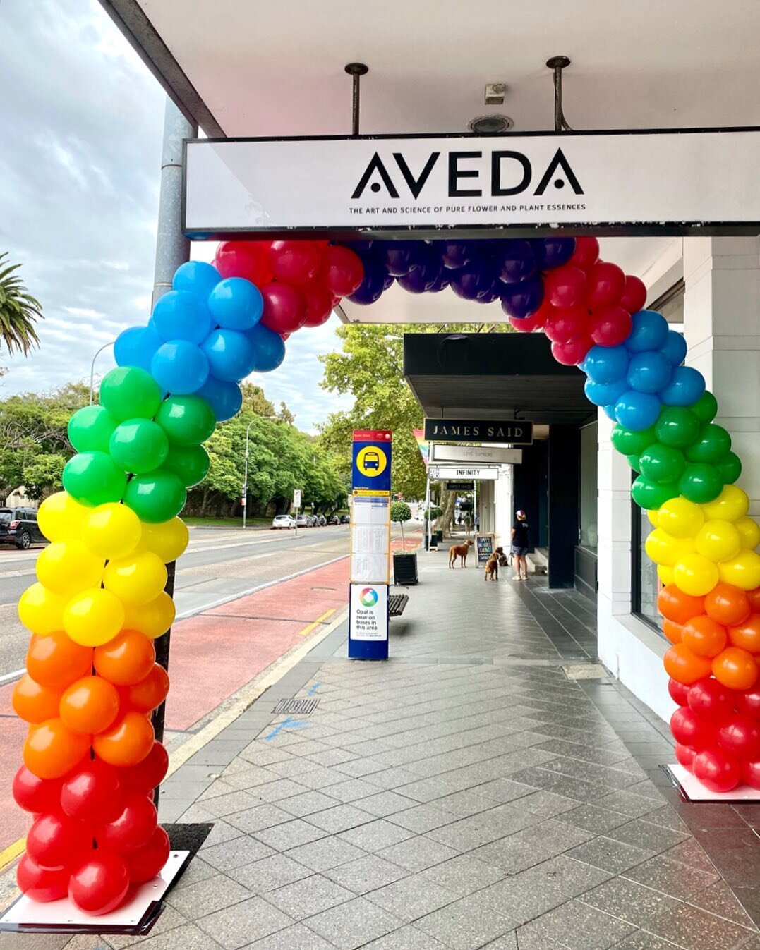 @elementhausofaveda ready to make you sparkle! ✨ #houseofballoons_au #elementhausofaveda #aveda #mardigras #visitpaddington #mardigras2021 #sydneymardigras #sydneylife #sydneycommunity #loveislove #pride #pridemonth #lgbtq