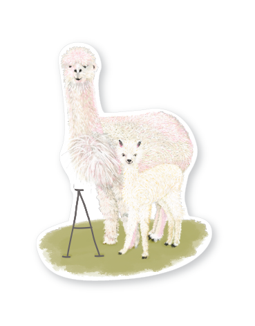 alpaca sticker_website-01.png