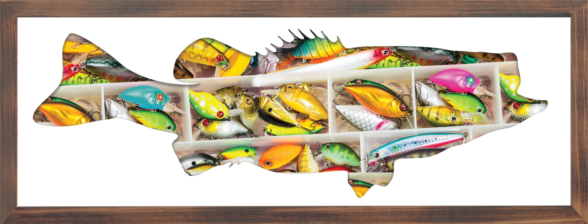 2_90210226_Widemouthed Bass_MCK copy.jpg