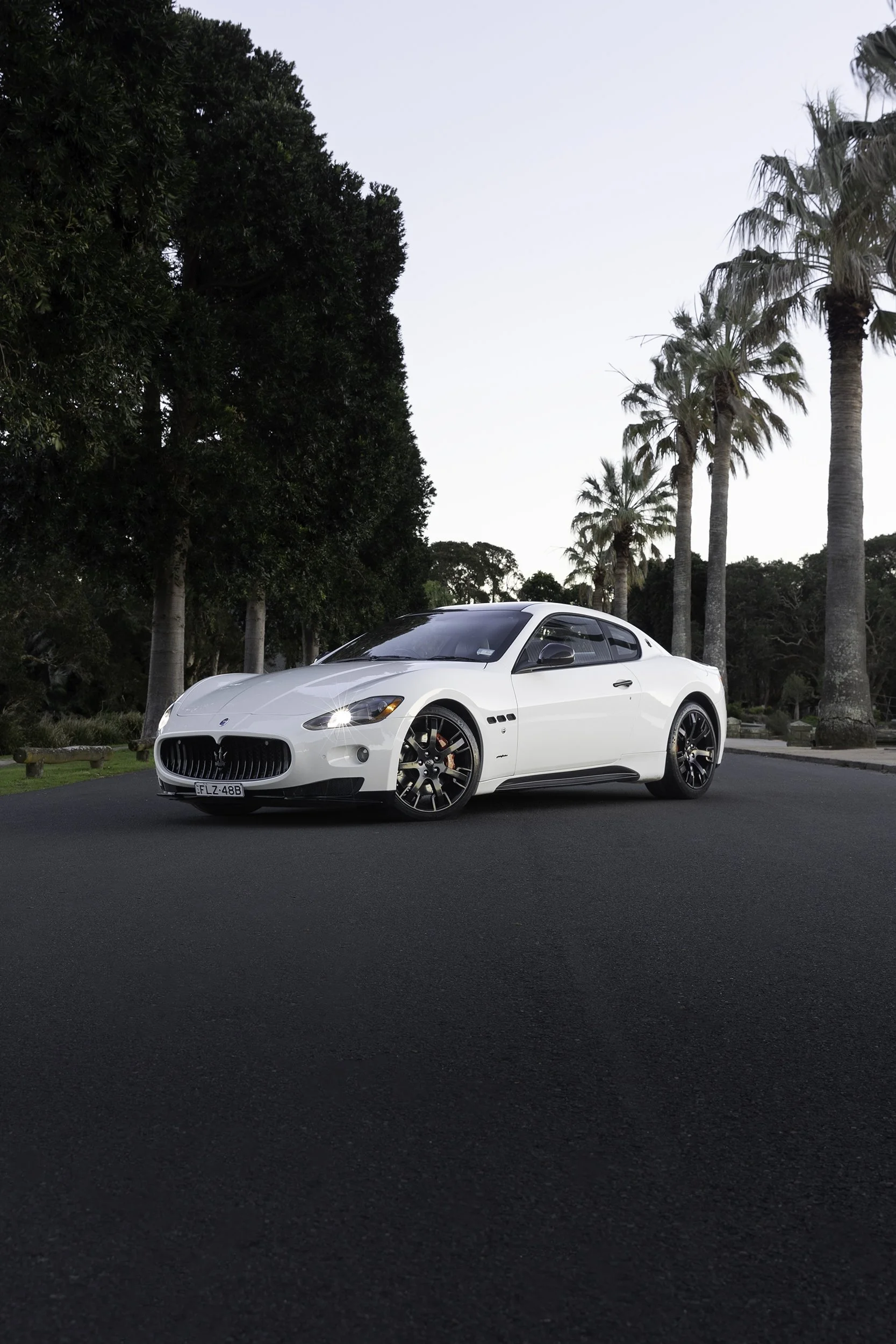 Maserati GranTurismo S front three-quarter, headlights on, shot by a Sydney car photographer under palm trees