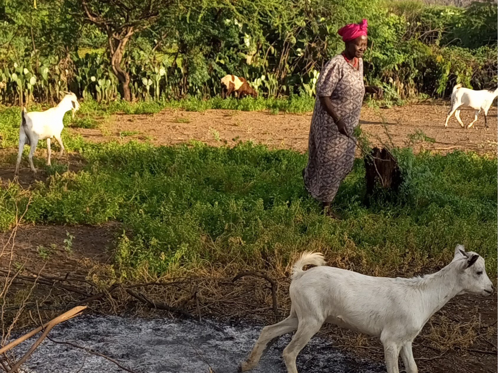 Investing in Sustainable Change in Baringo, Kenya