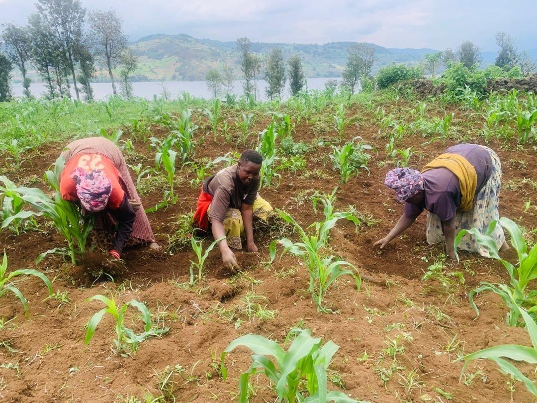 Farming, Faith & Forward Motion in Burera