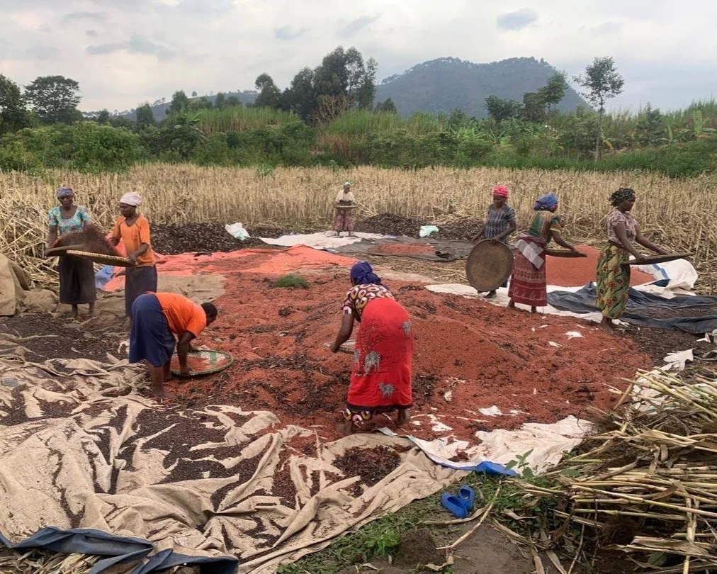 Progress and Promise in Burera