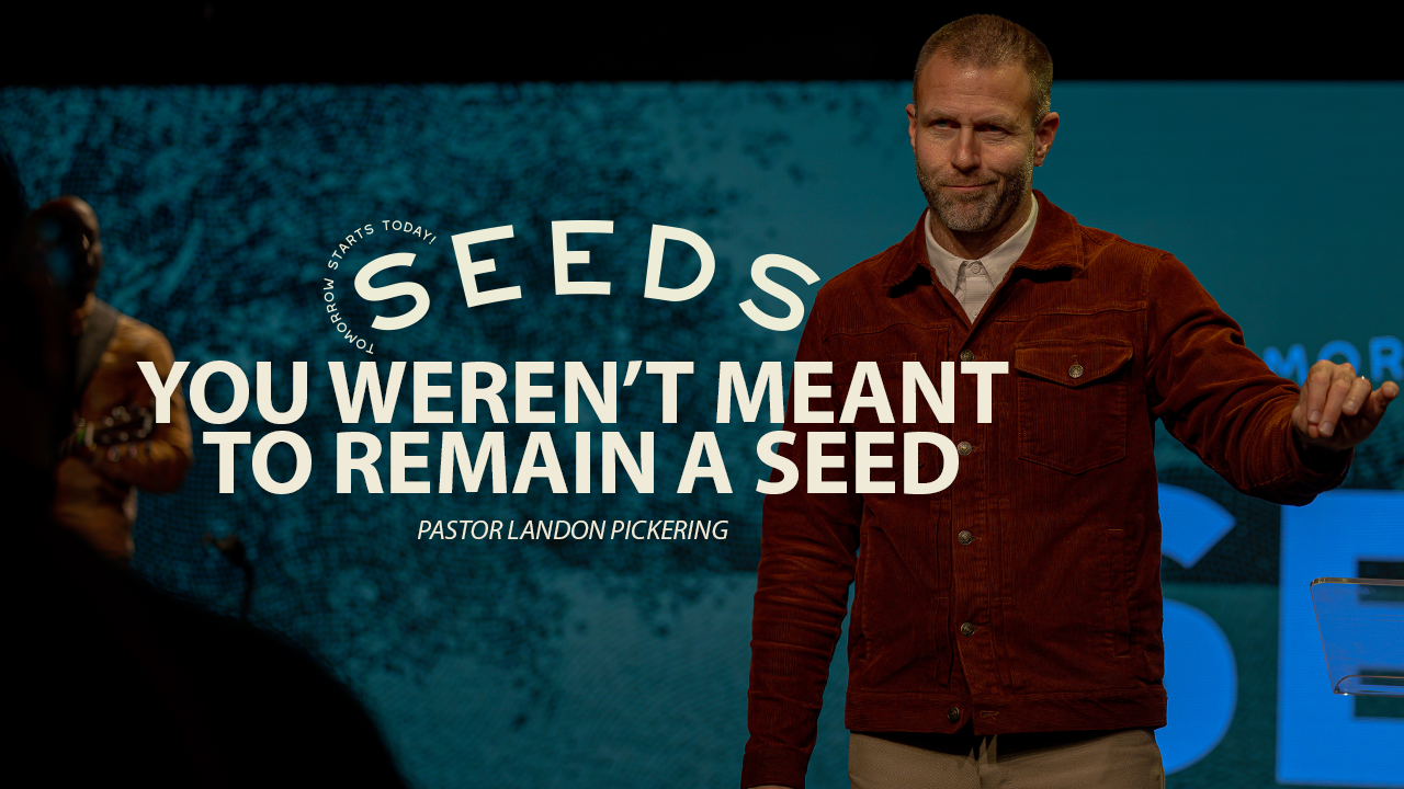 You Weren’t Meant To Remain A Seed