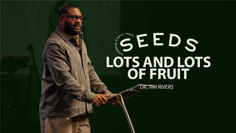 Lots And Lots Of Fruit