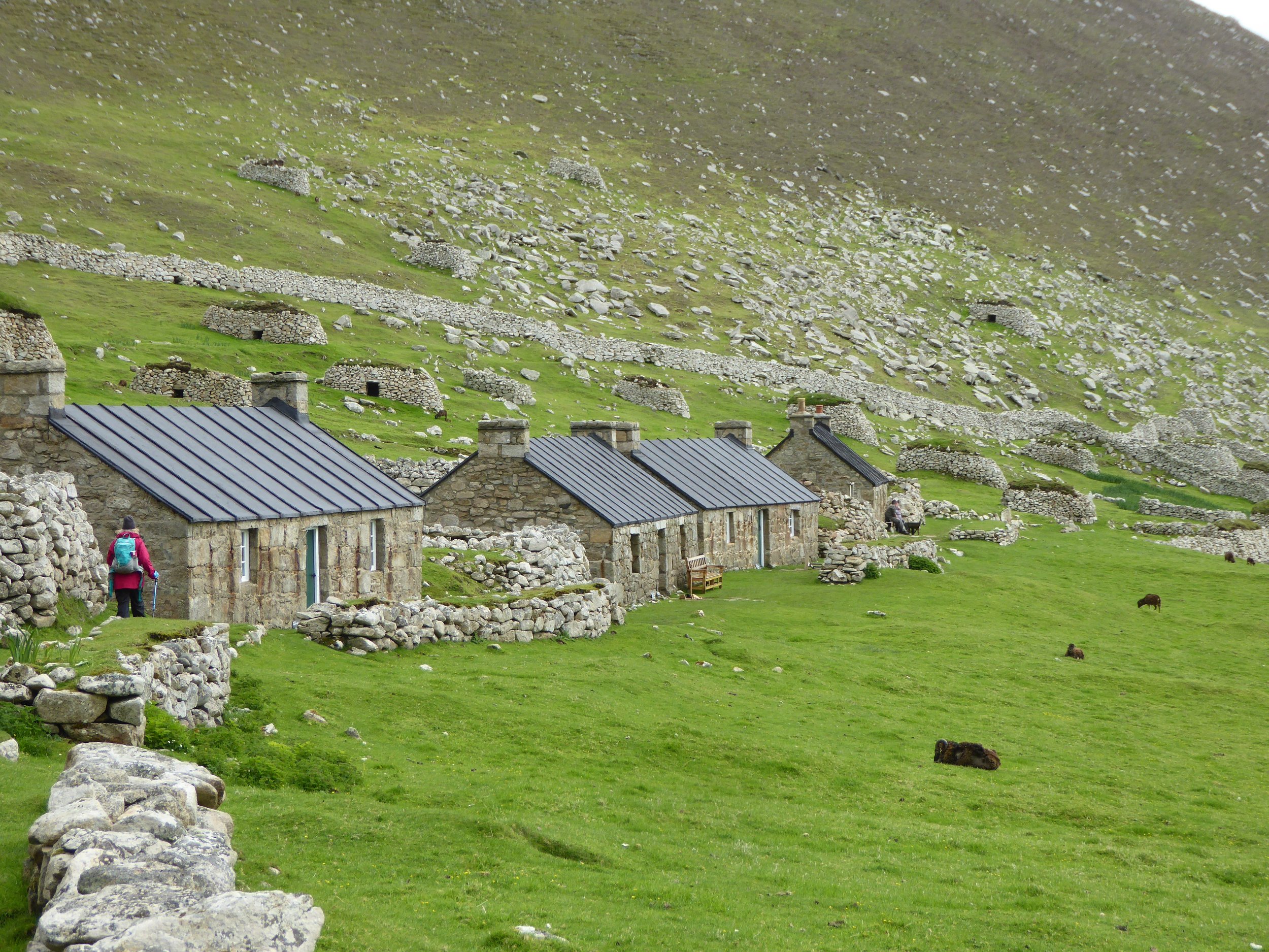 Restored houses, Hirta. The final one is the museum, with the 'Parliament Bench' in front of it.