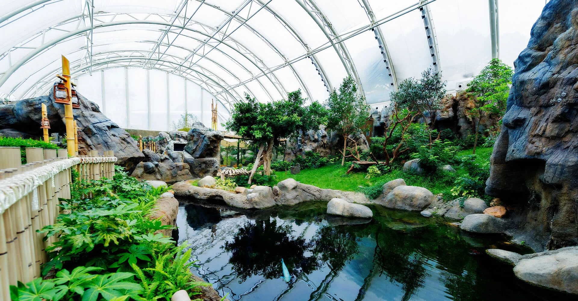 Ocean Park Giant Panda Adventure