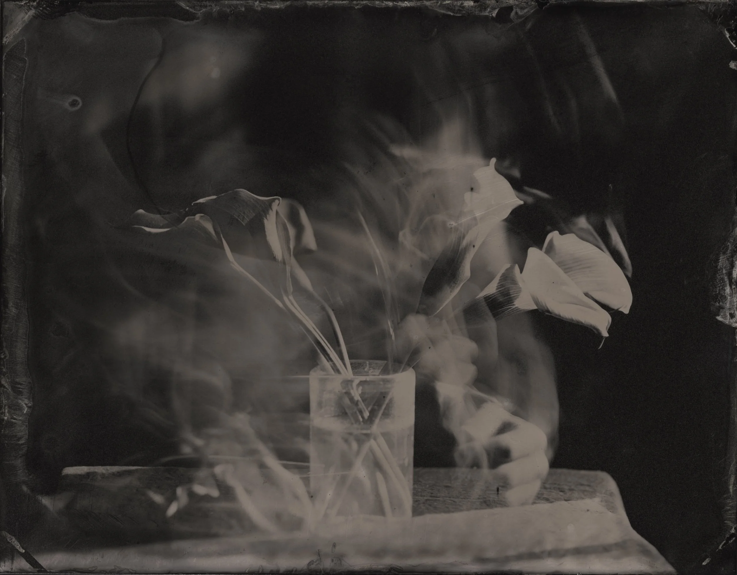 Still_Life_With Callas.jpg
