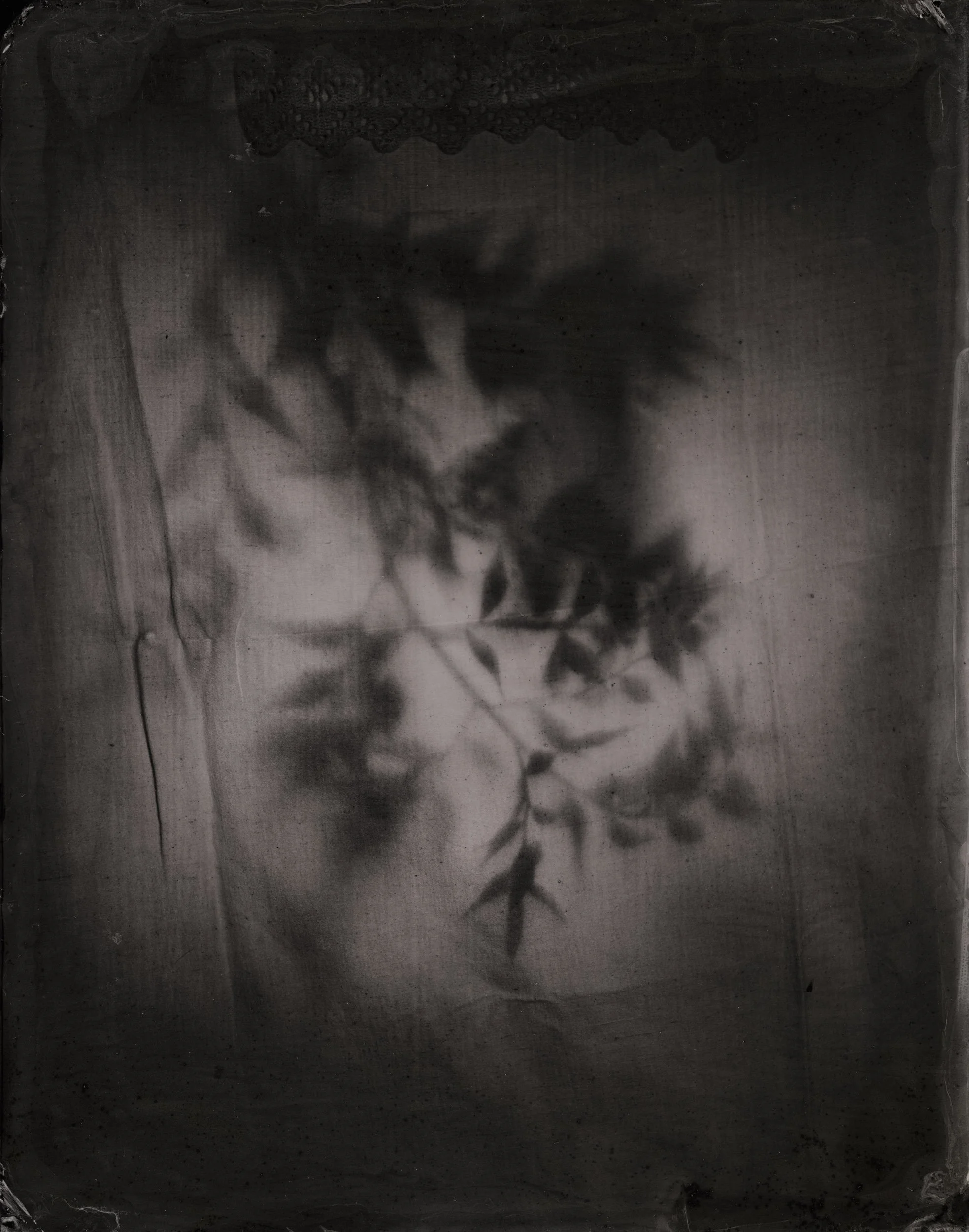 Still Life  1.jpg