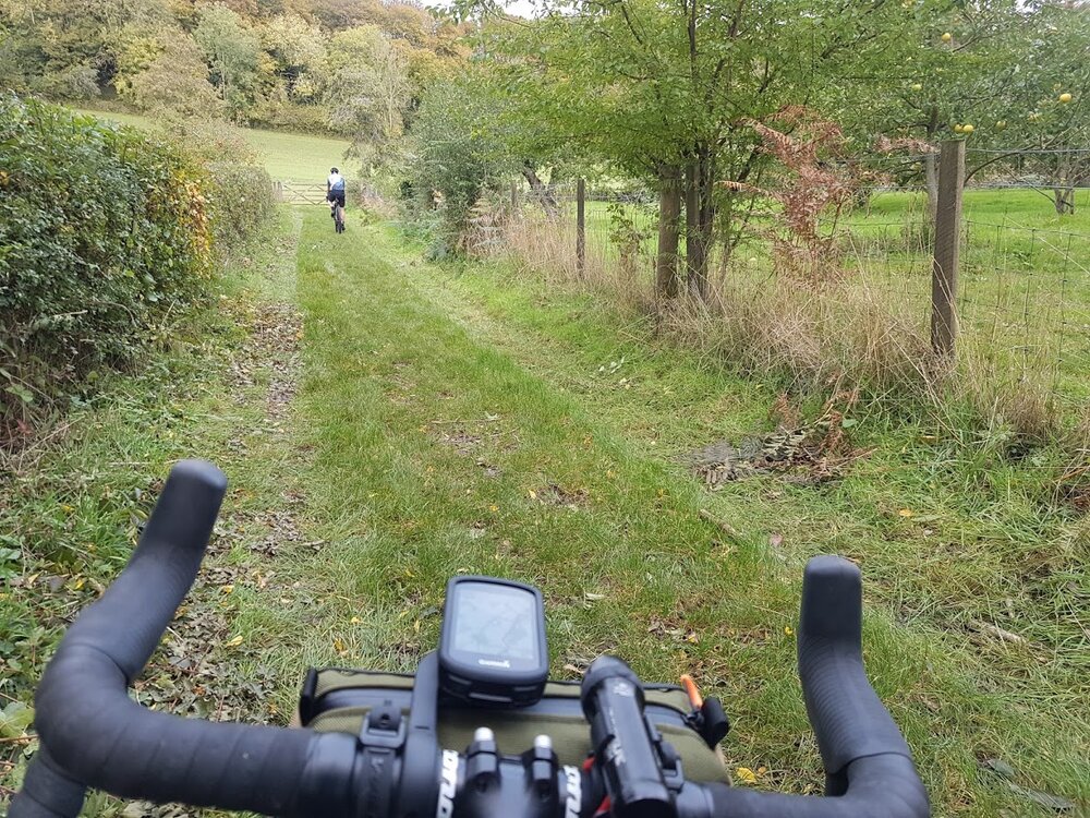 following h down a grass trail.jpg