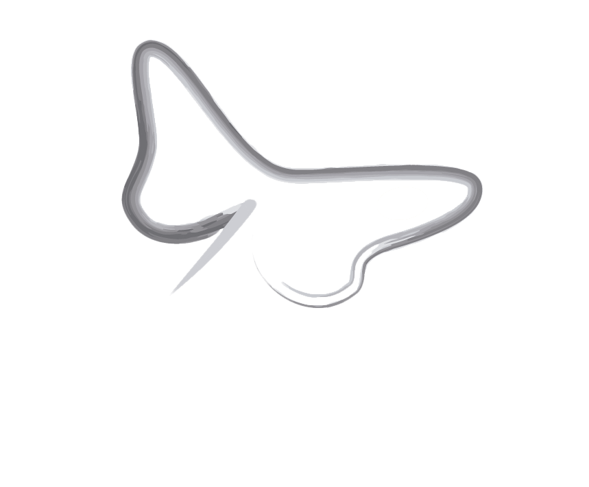 Butterfly Solutions