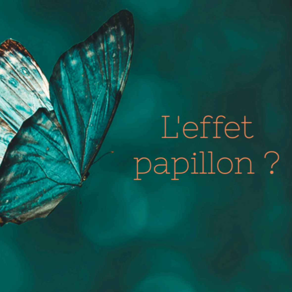 L'effet papillon : pourquoi savoir se reconfigurer est devenue la compétence vitale de 2026