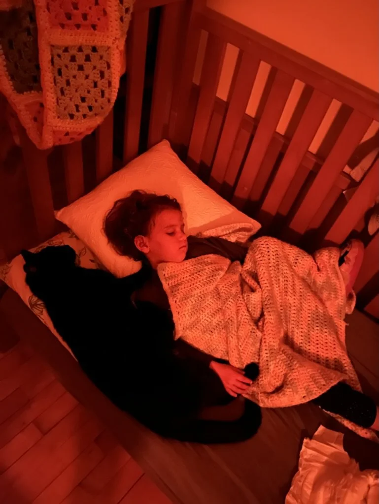 The Necessity of Sleep