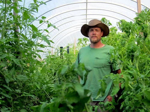 Application status definitions kiva us