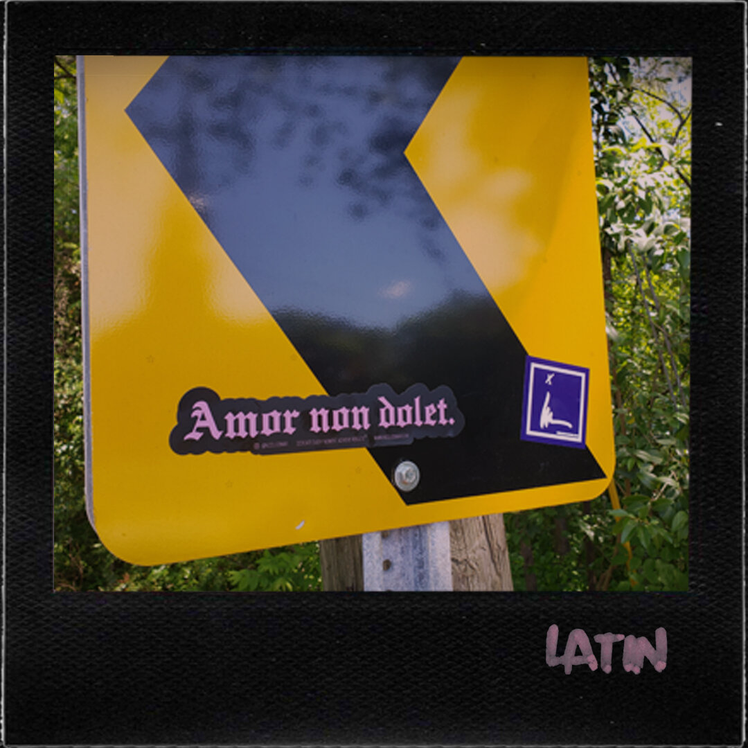 "Love Does Not Hurt" Sticker in Latin