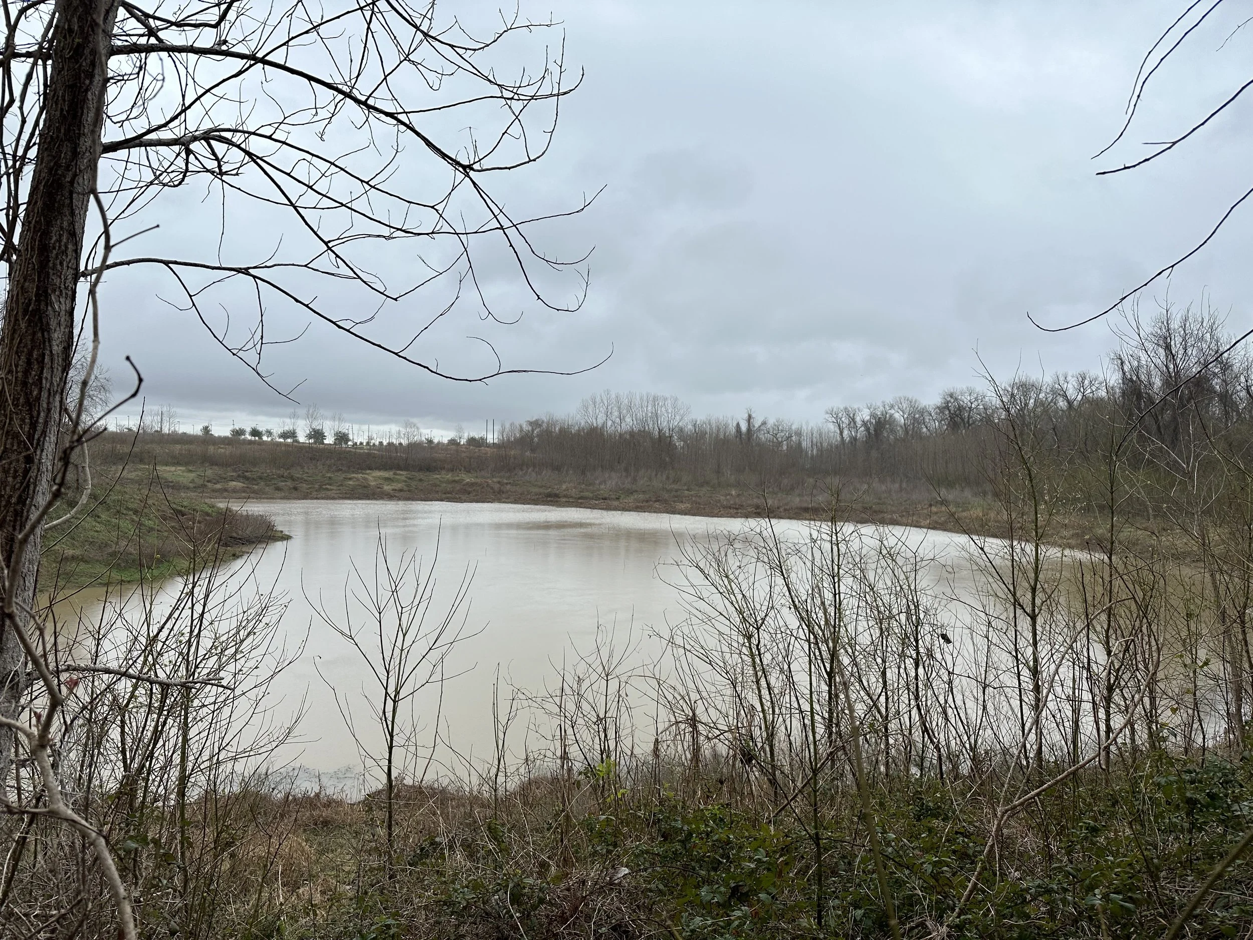 Sugar LandHouston, TX — Go Ape Media