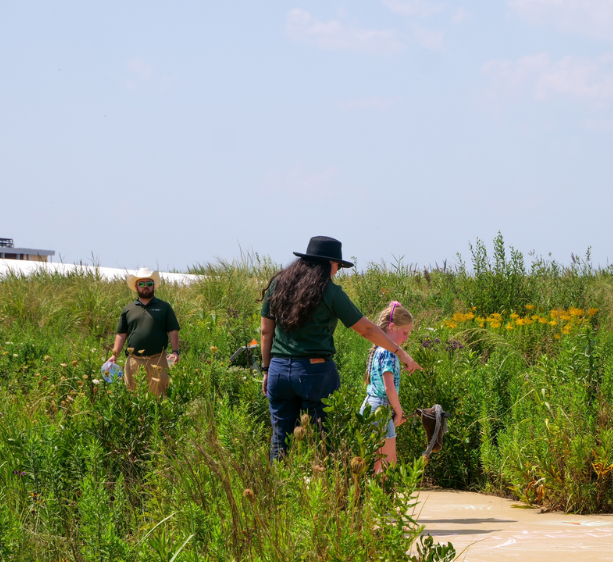 Prepare Your Garden for Spring