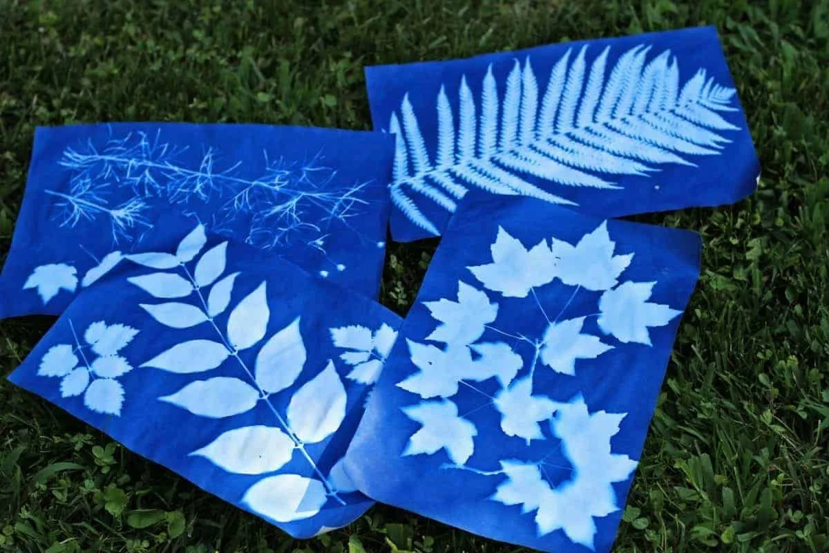 STEAM Workshop: Solar Printing