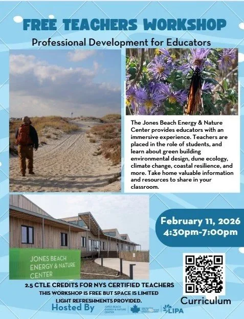 Teachers’ Workshop 