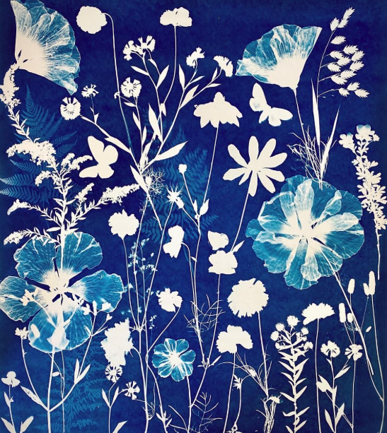 Wellness Walk: Printmaking