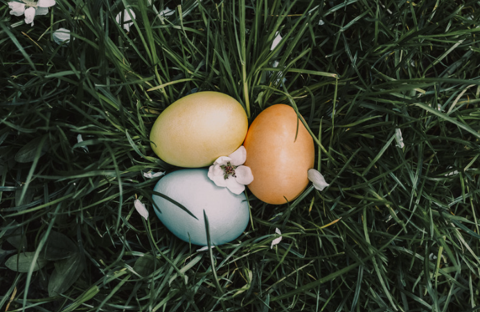 STEAM Workshop: Egg Drop