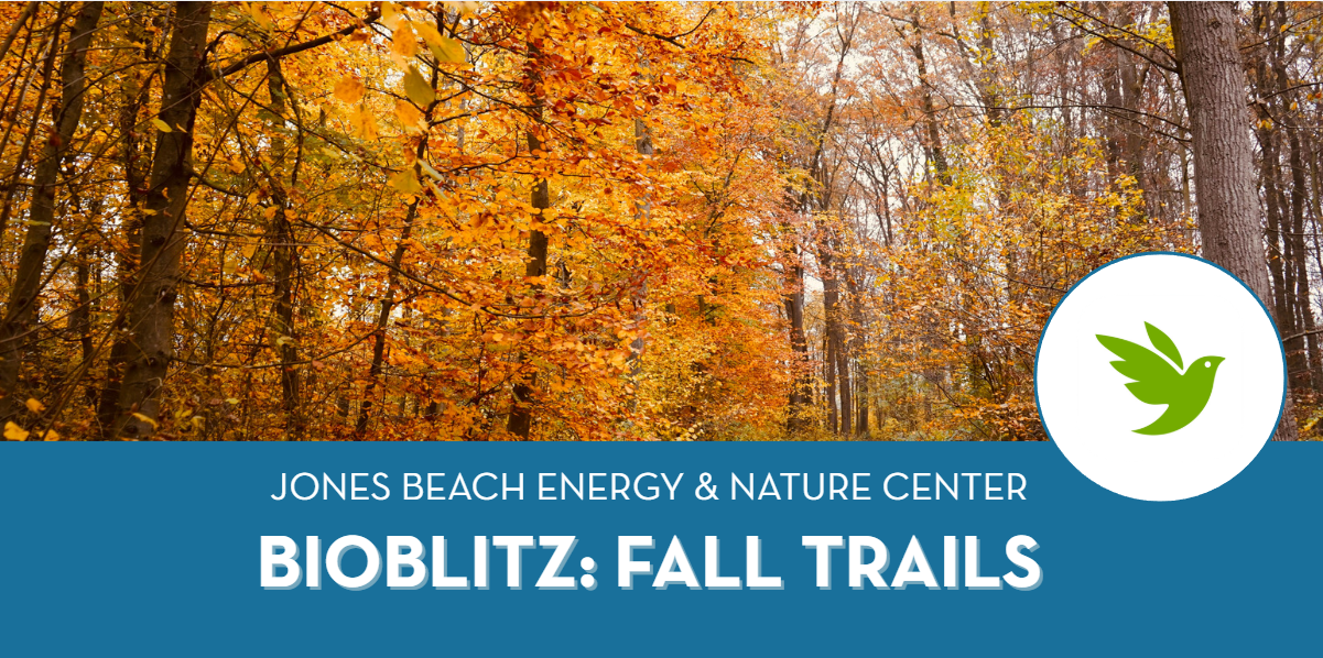 BioBlitz: Fall Trails