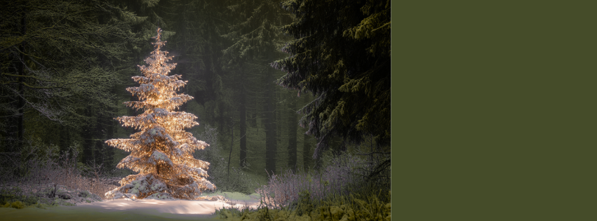 Click here to purchase your holiday tree