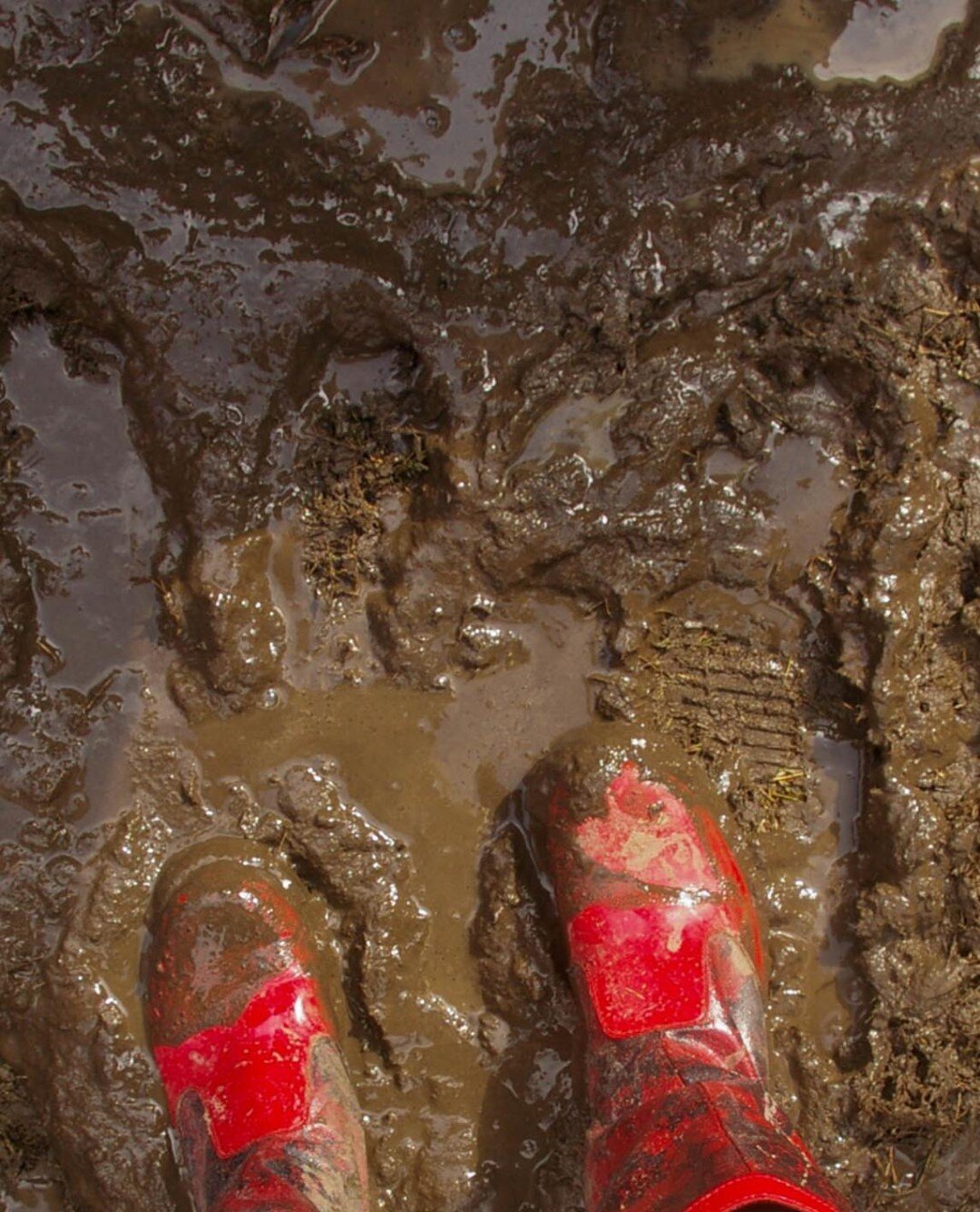 ⚠️ Please use caution on the trails at #PSW. It's #mudseason.  Please respect Trail Closed signs and don't use muddy trails, even when open. The trails below the rec center are pretty bad - 3&quot;+ of sheer mud. If you encounter muddy trails, please