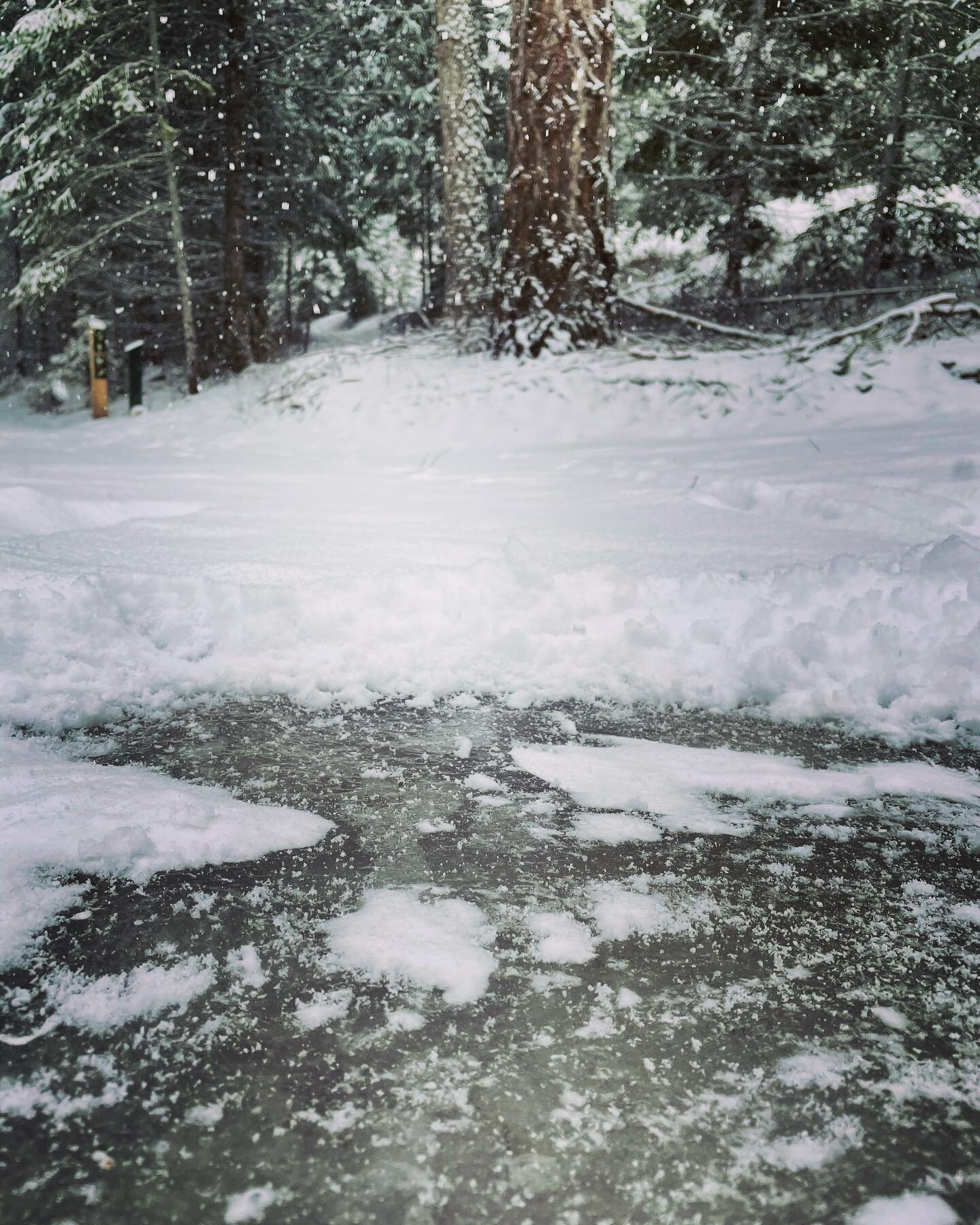 ⚠️ CAUTION ⚠️ Ice is nice in a summer drink but not secretly hidden underneath our trails and parking lot. Please bring yak trax and use EXTREME caution when using  any trails in Pine Street Woods or the greater Syringa Trails System.