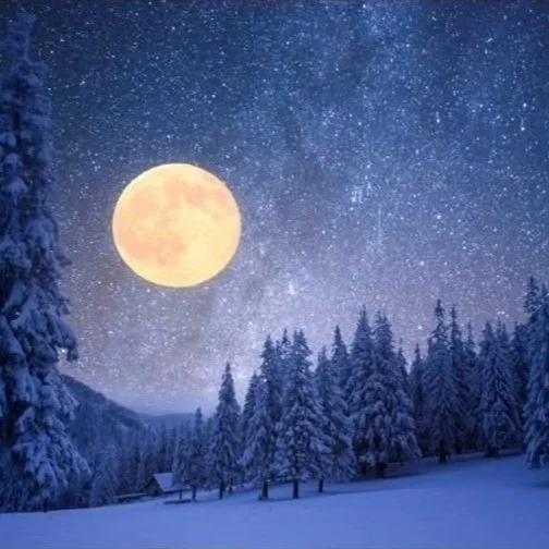 Snow Moon Snowshoe