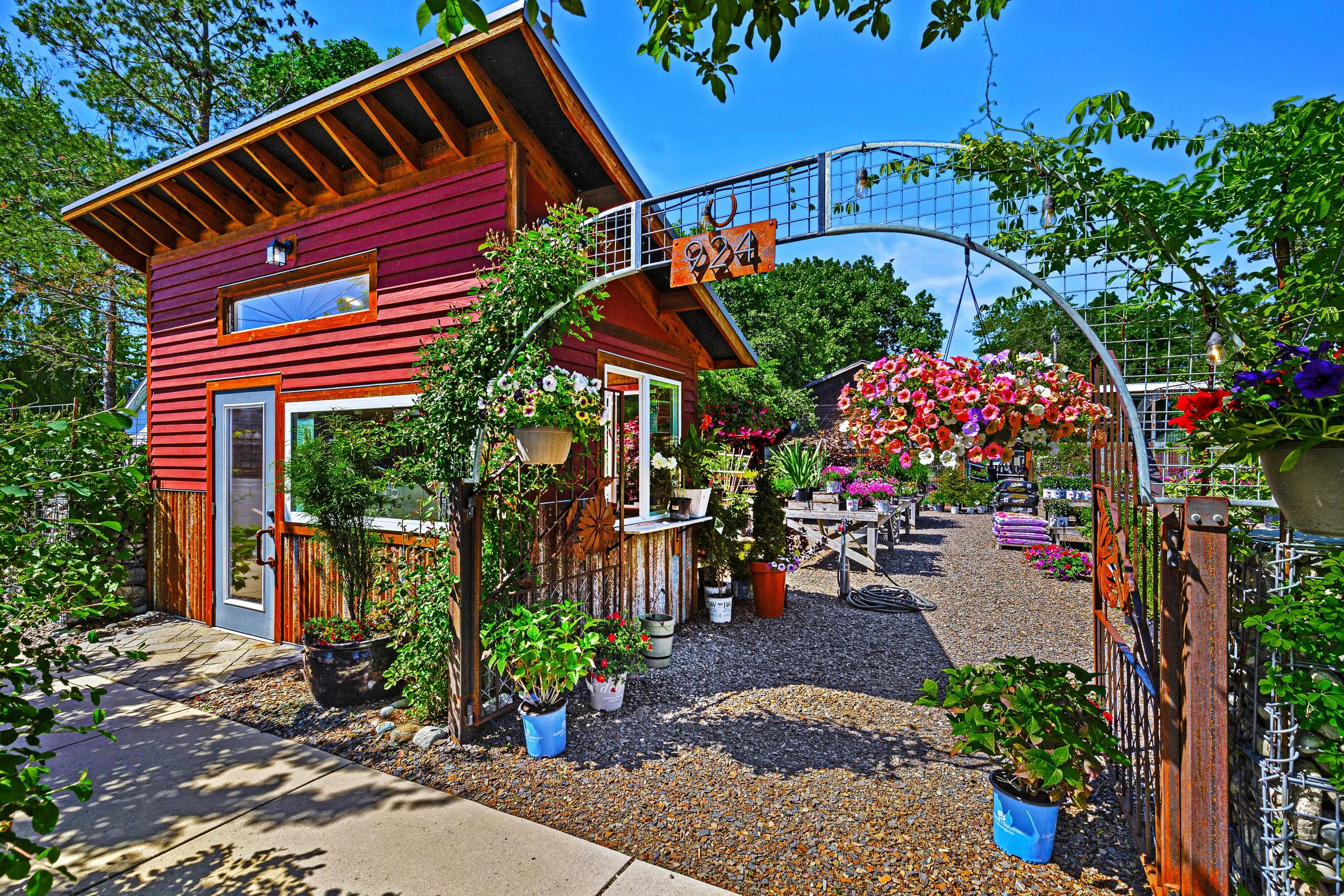 Aster Garden Center's Last Day of Season