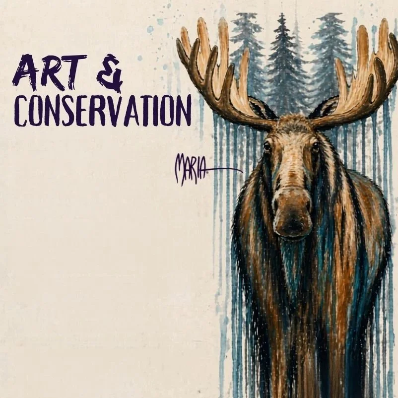 Art & Conservation