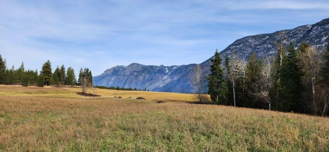 Hall Mountain (66 acres)