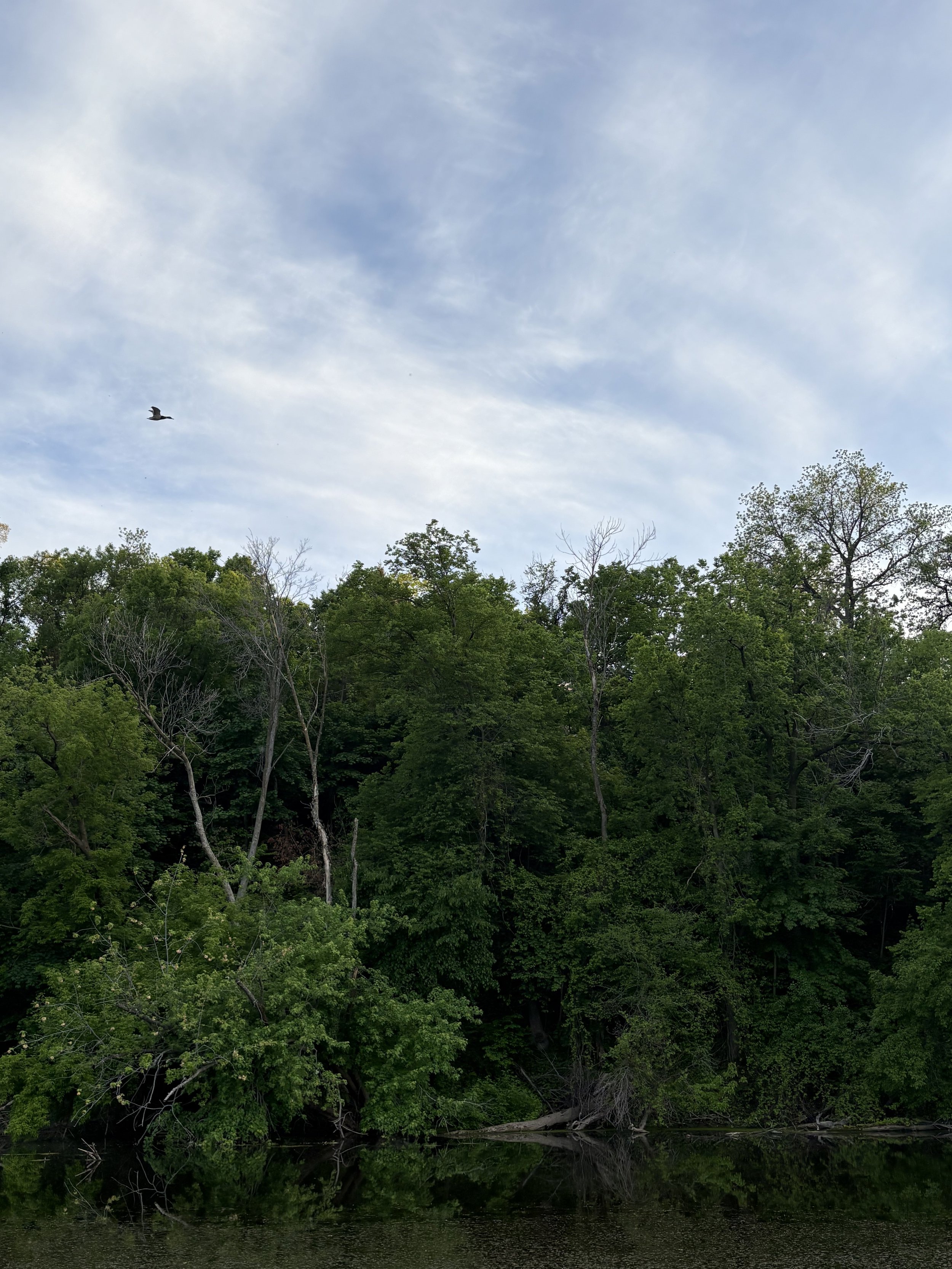 IMG_5100.jpg