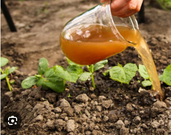 Compost Tea Workshop 