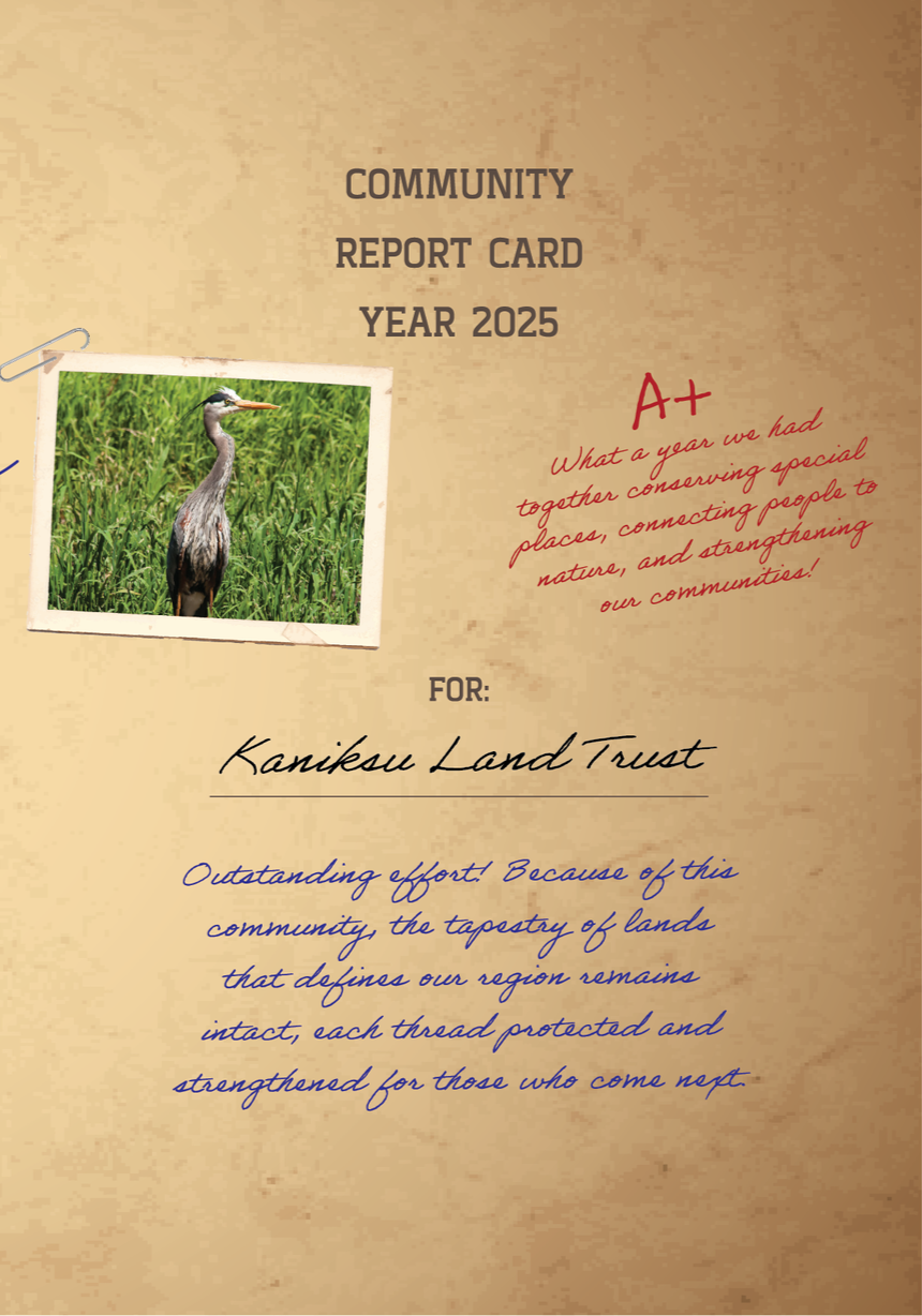 2025 Annual Report