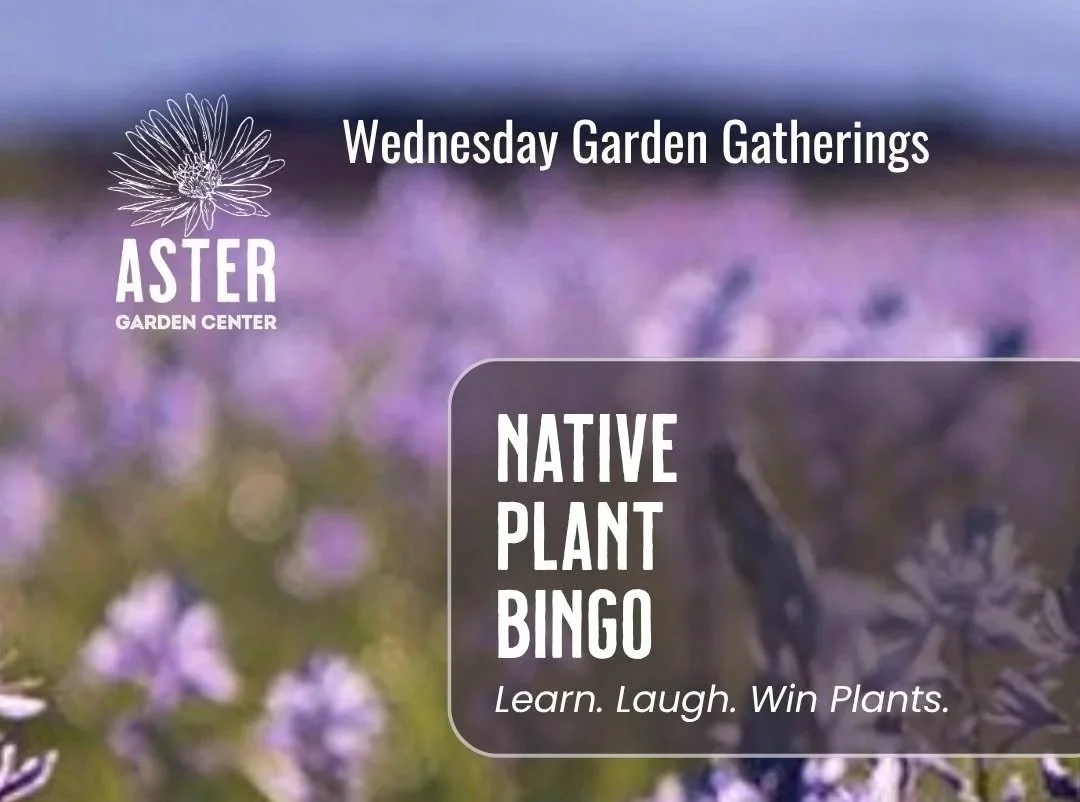 Native Plant Bingo