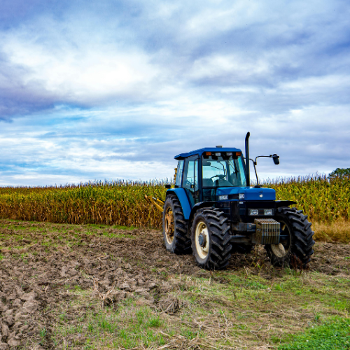 blue tractor in a field of crops