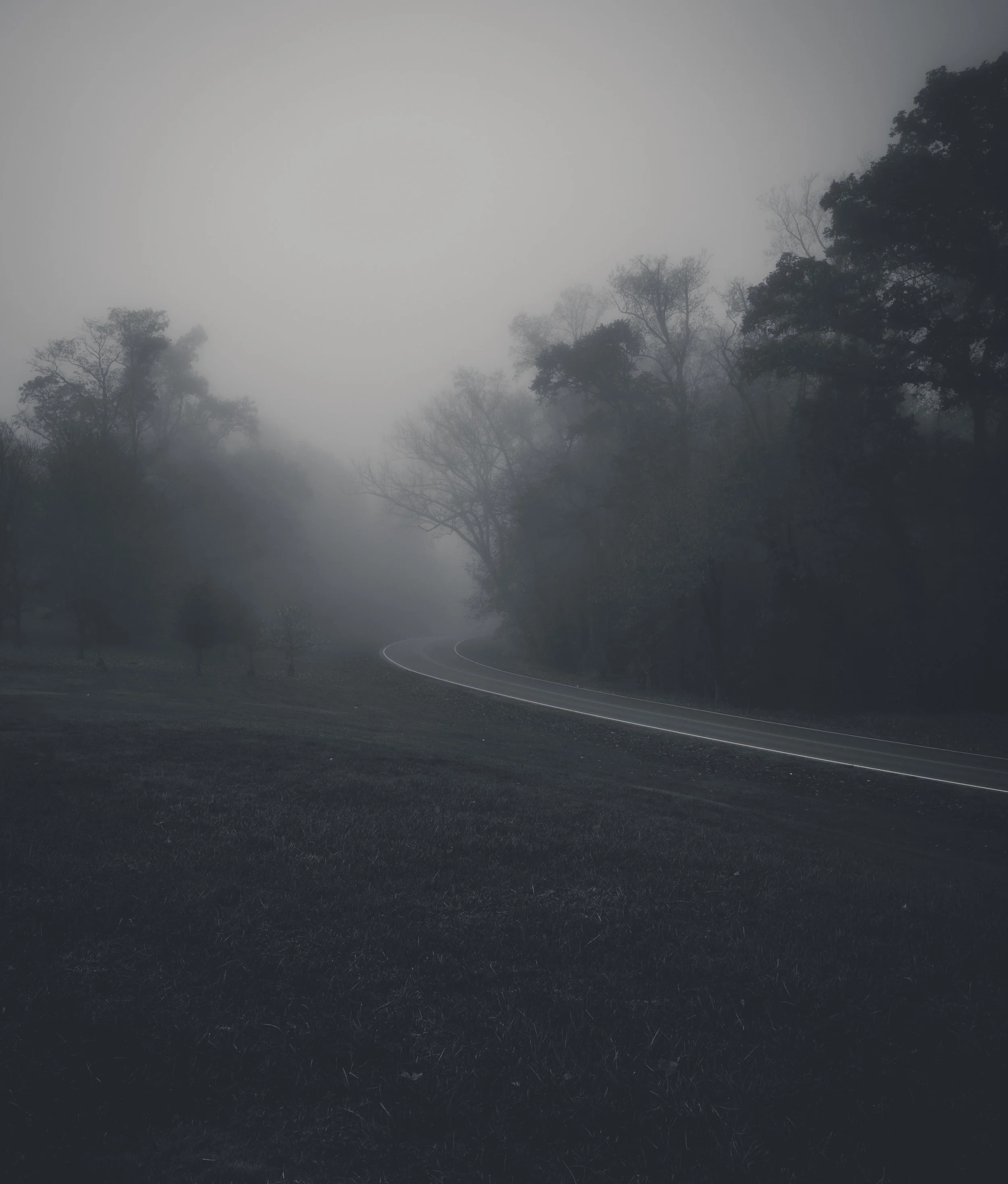 The Fog