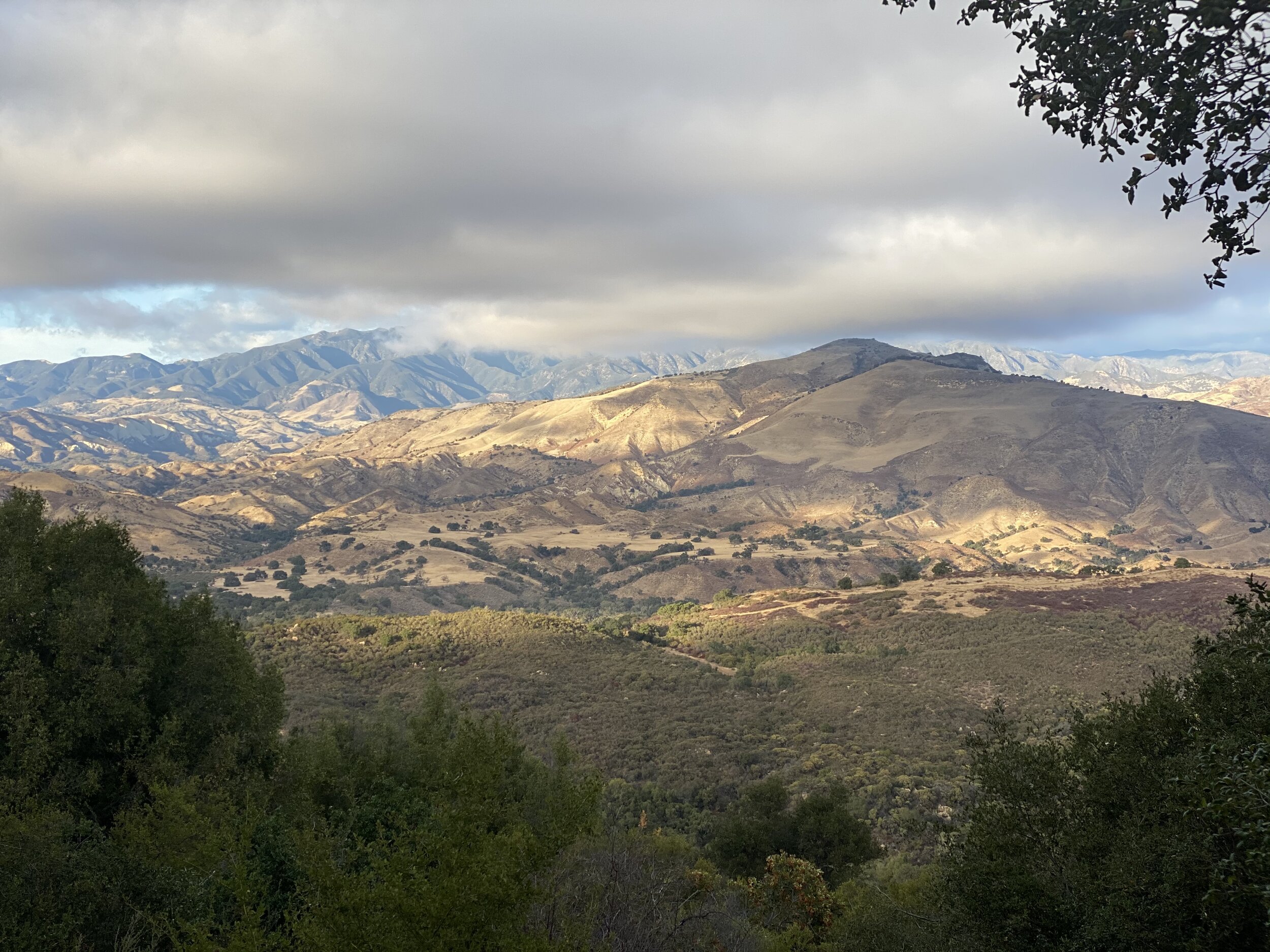 IMG_0095.jpeg