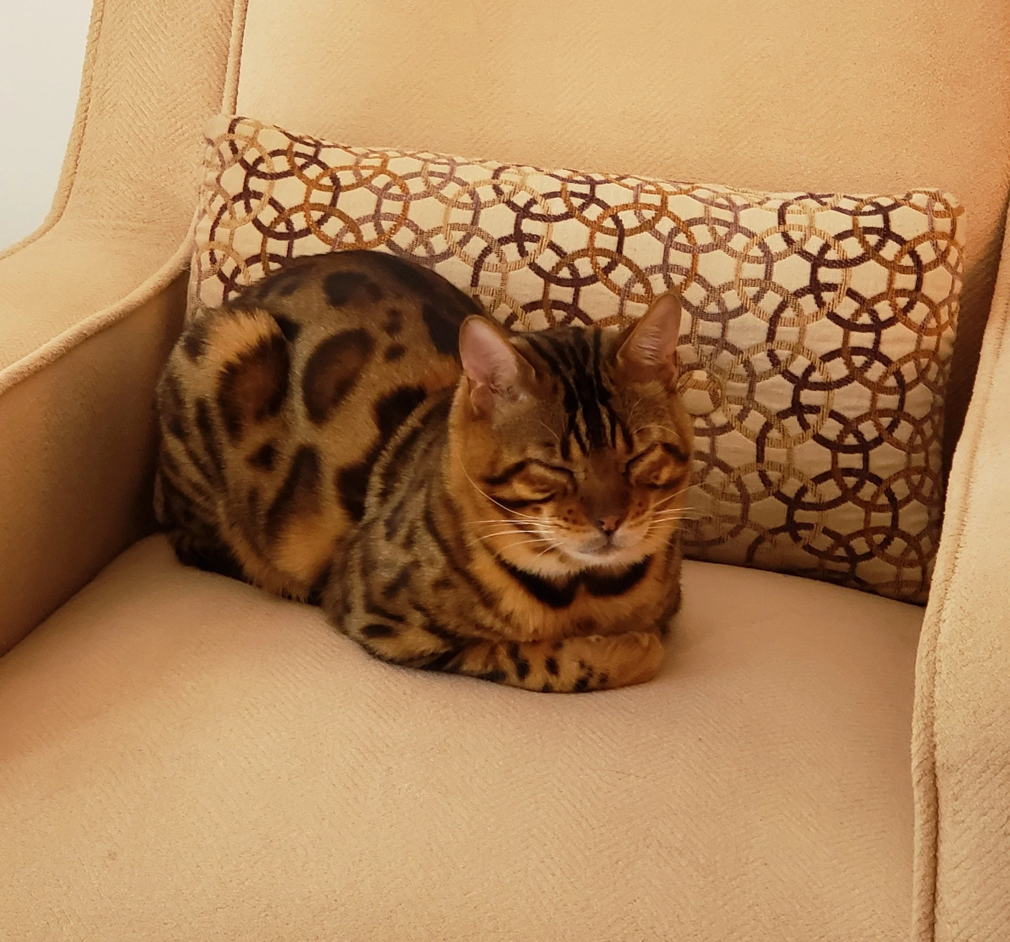 La récolte au plan spirituel