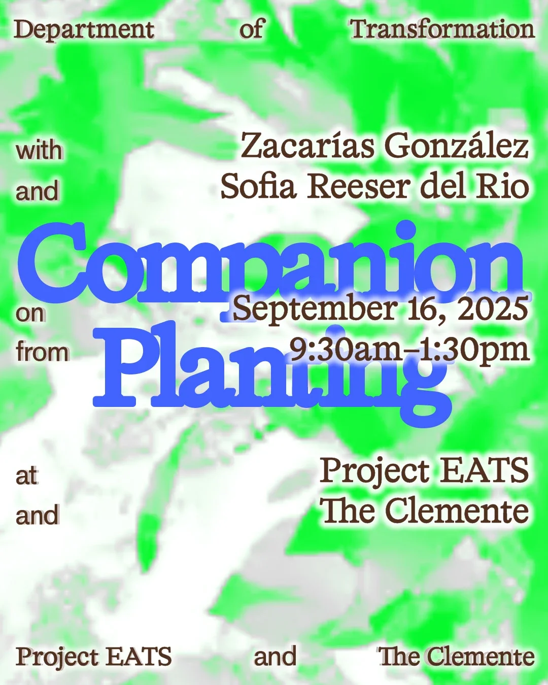 Companion Planting